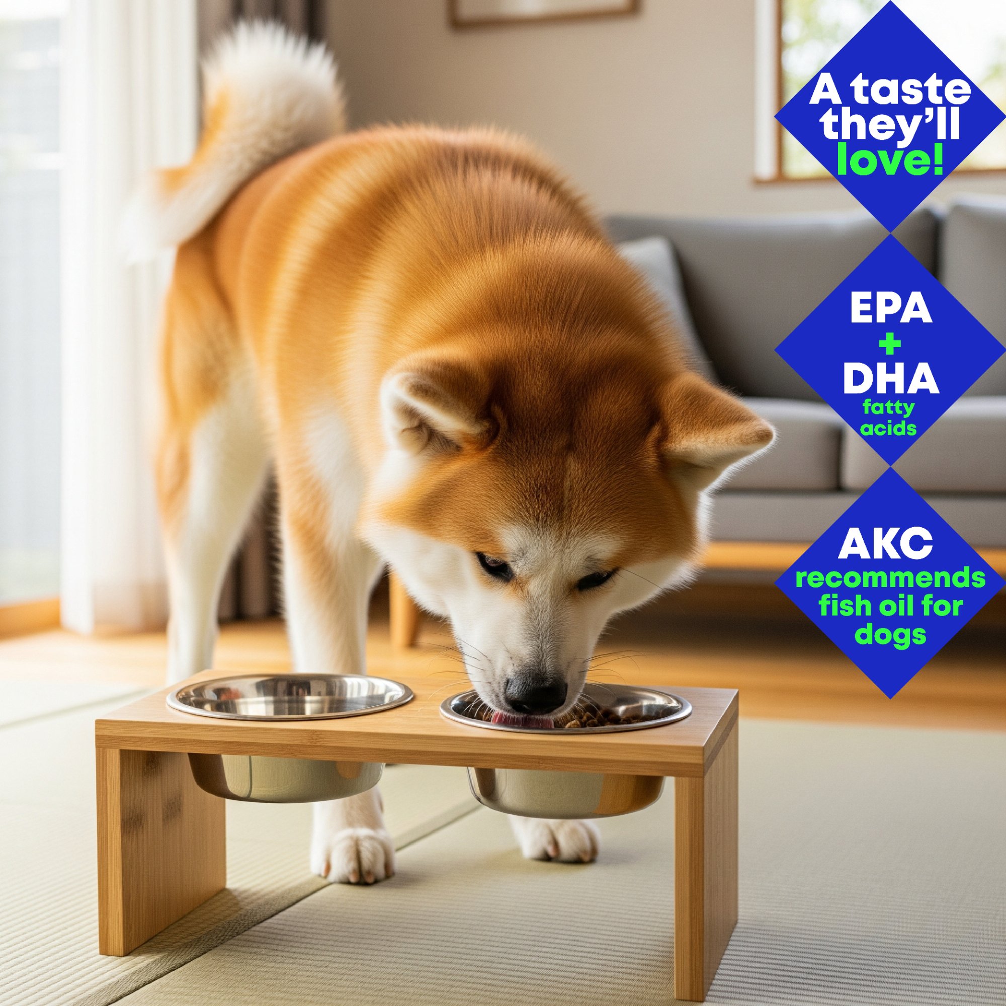 Akita dog enjoying Club Hachiko fish oil