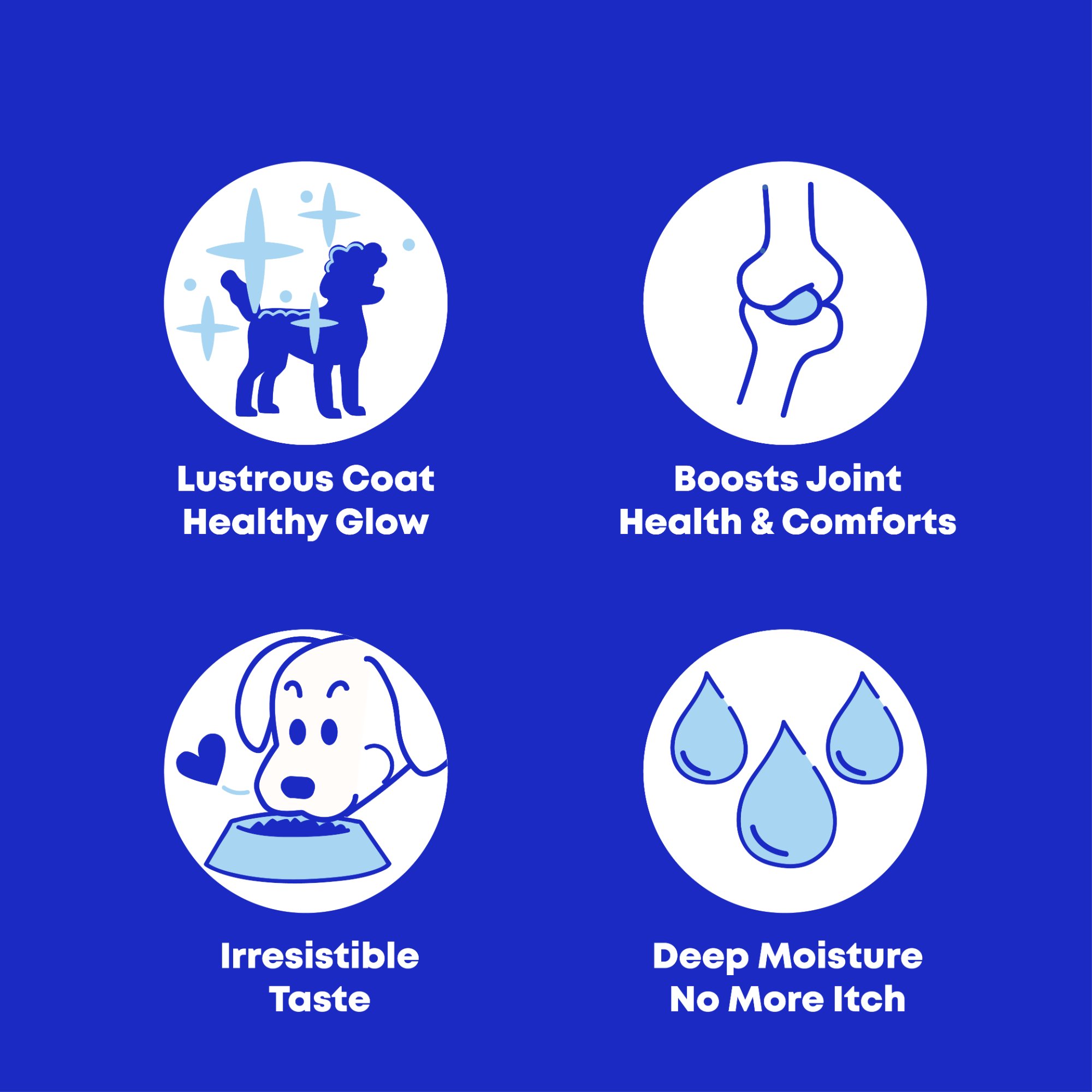 Club Hachiko Benefits - Part 1