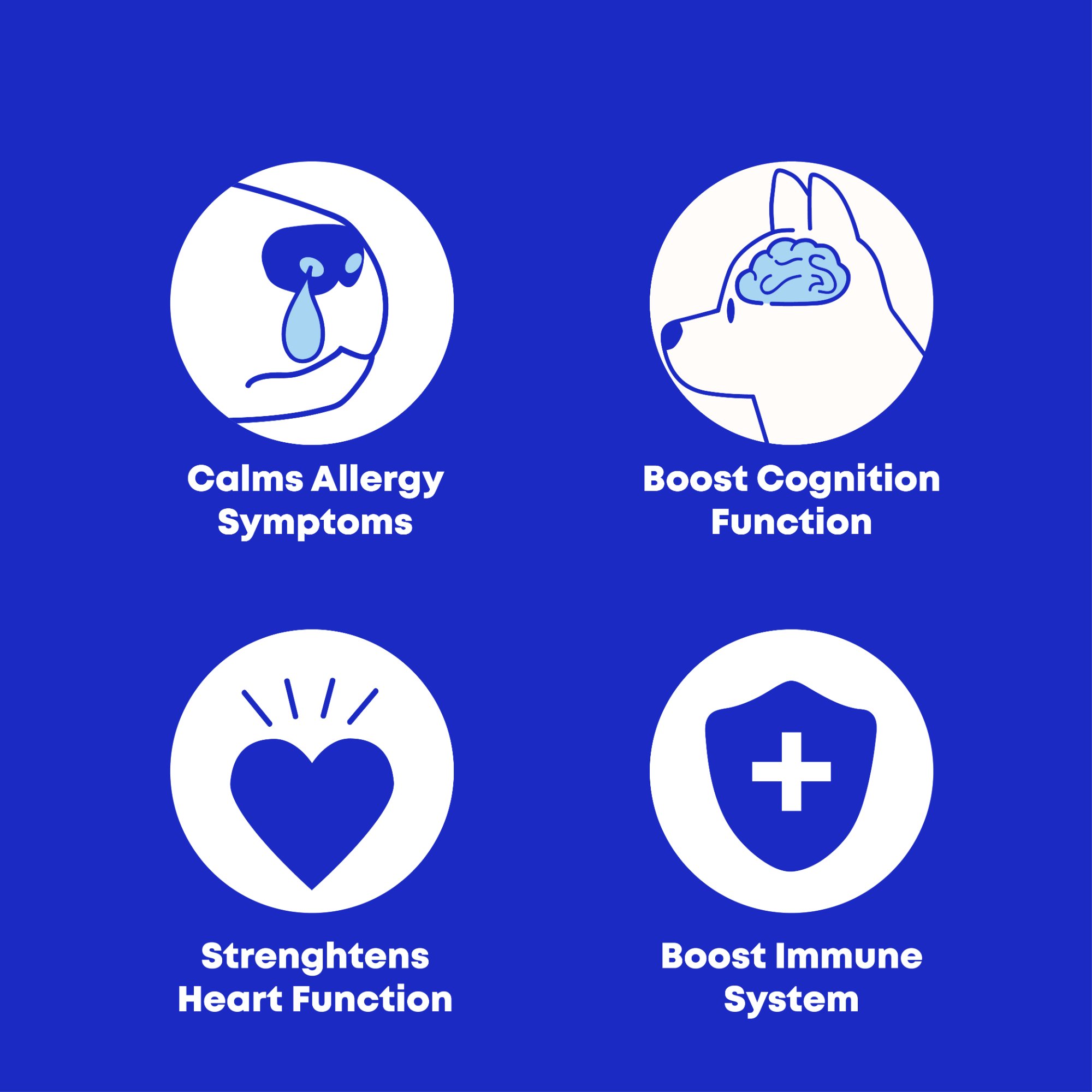 Club Hachiko Benefits - Part 2