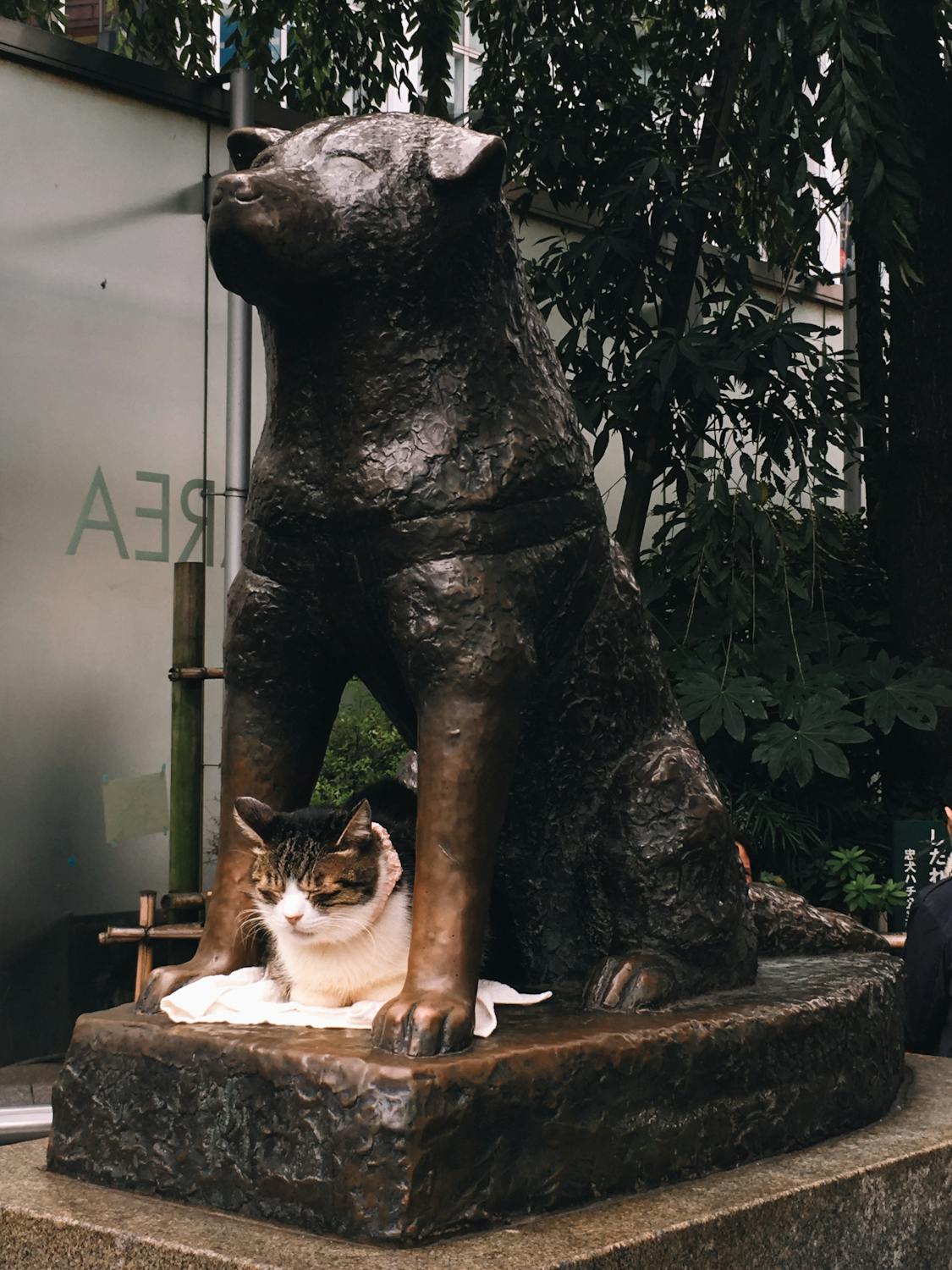 The Hachiko statue at Shibuya Station, Tokyo